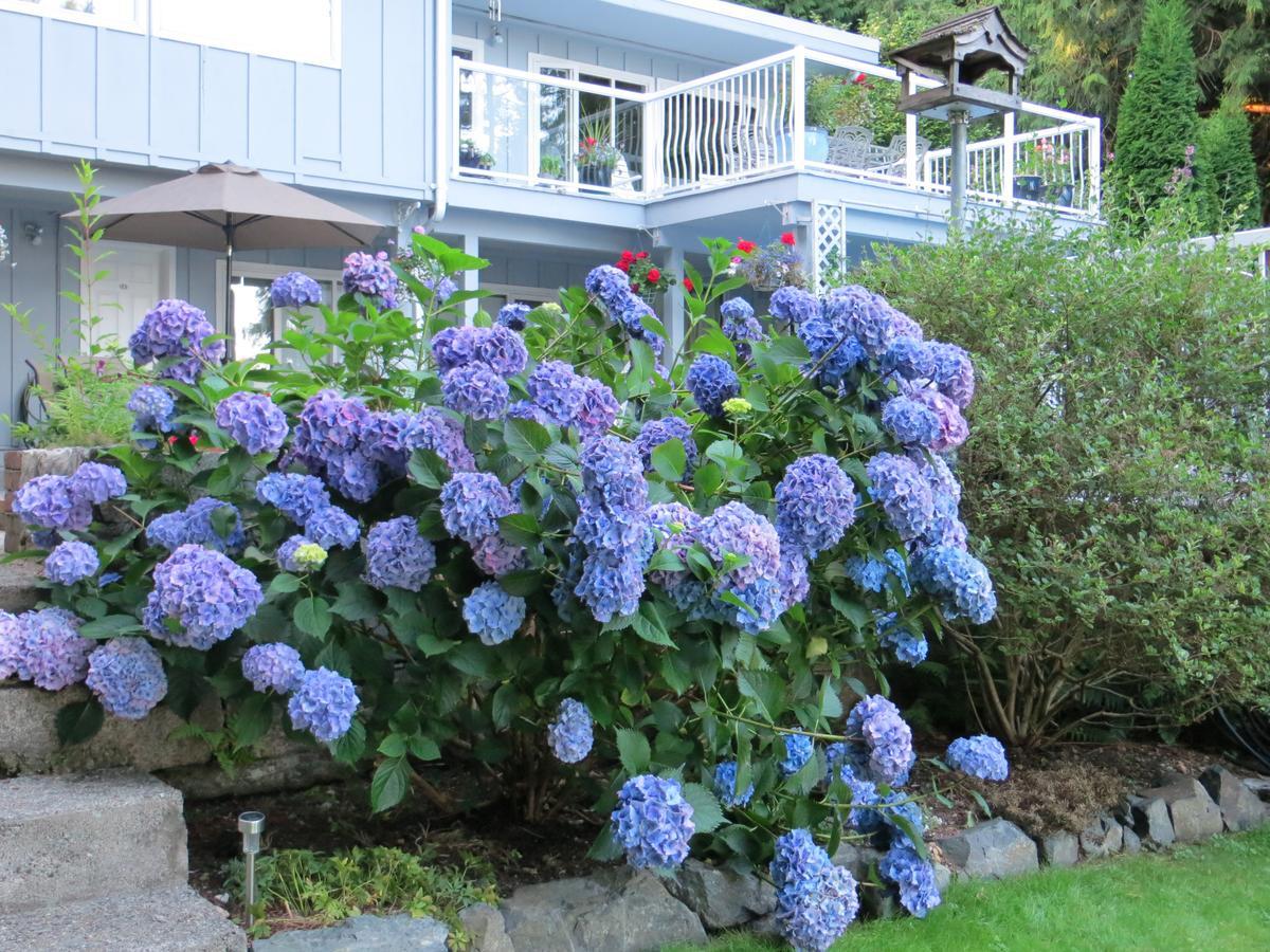 Caprice Roberts Creek Exterior foto